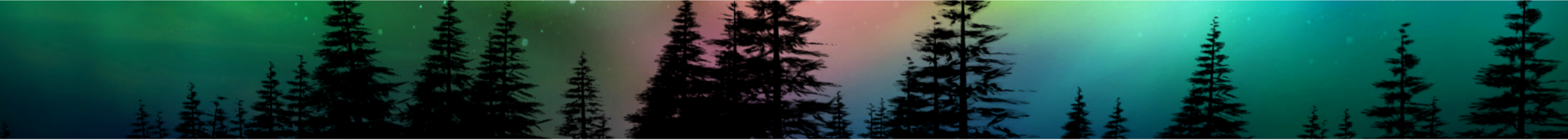 Associated Labels case study header banner - night forest