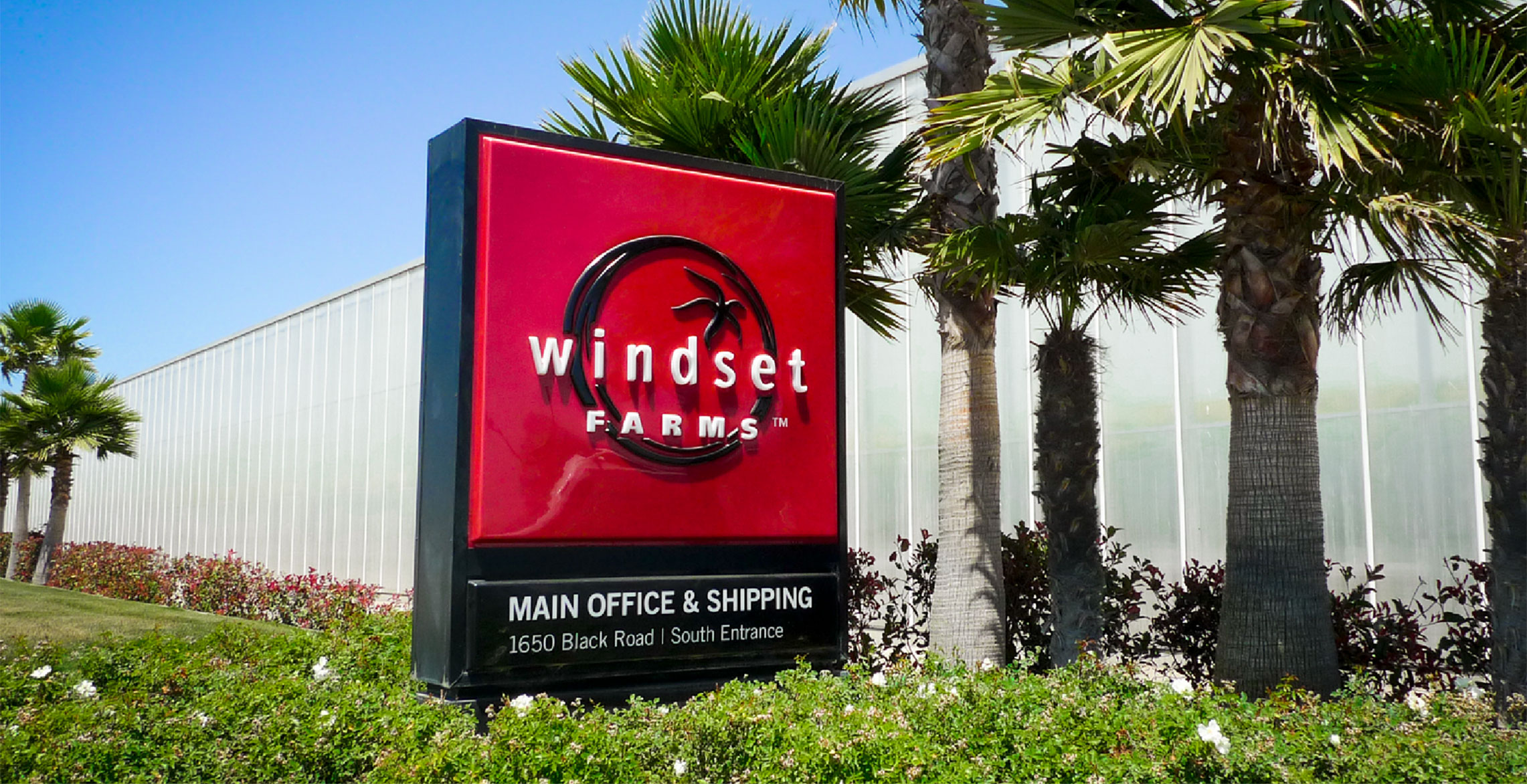 Windset Farms branding